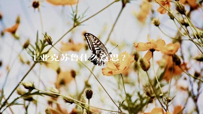 工业克苏鲁什么意思?