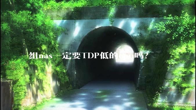 组nas一定要TDP低的cpu吗？